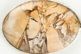1.4" Ibis Jasper Pendant (Necklace) - 925 Sterling Silver   - #192395-1